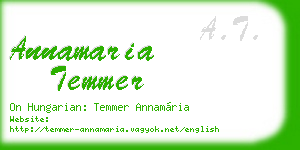 annamaria temmer business card